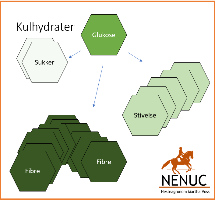 Kulhydraterne - hestens - NENUC - hesteagronom