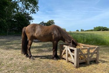 Katrine harver sporet op