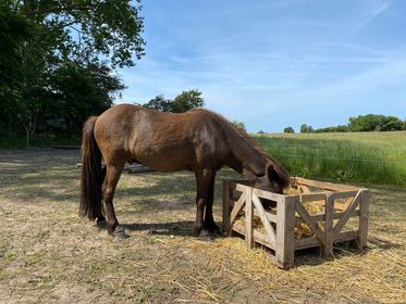 Katrine harver sporet op