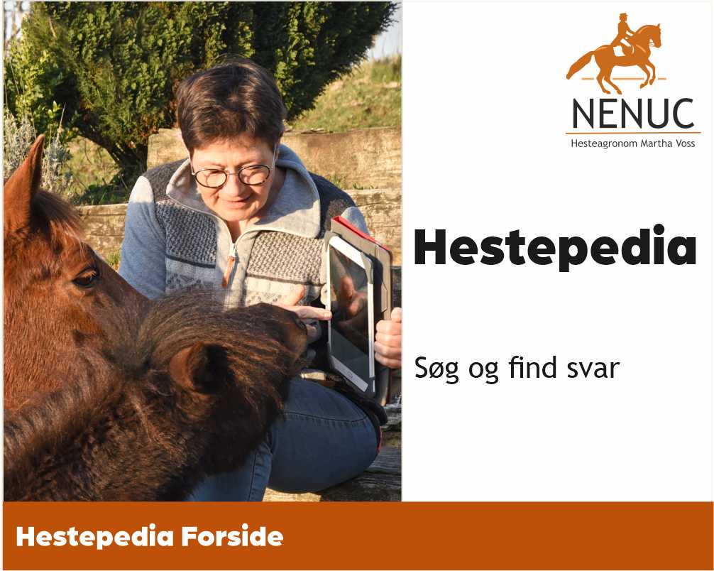 NENUC’s Hestepedia