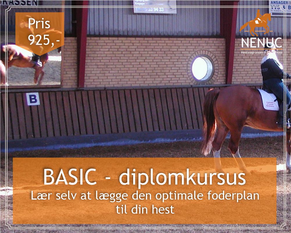 BASIC Diplom – Grundlæggende fodring af heste