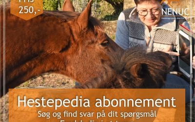 Hestepedia – dit online leksikon om heste