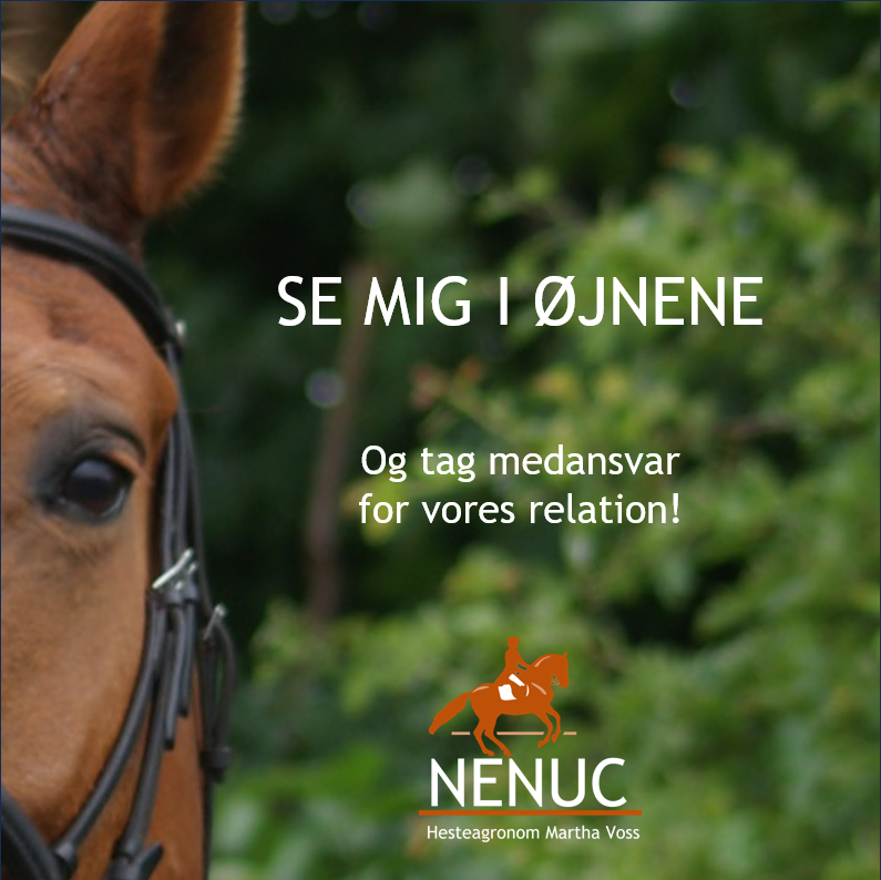 Zoomet tæt ind på hestens øje og teksten: Se mig i øjnene - og tag medansvar for relationen!