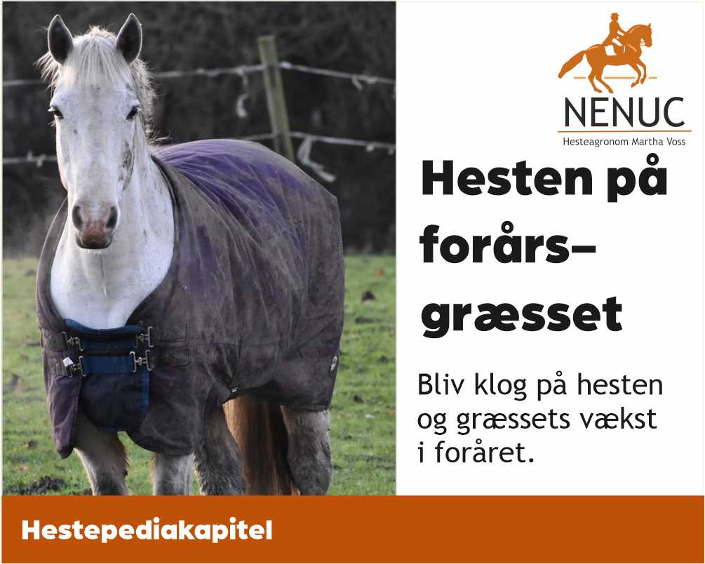 Forbered din hest til forårsgræsset