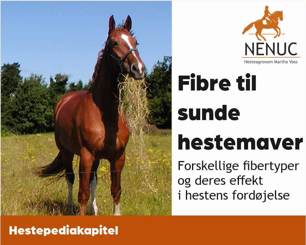 Fibre til Sunde Hestemaver