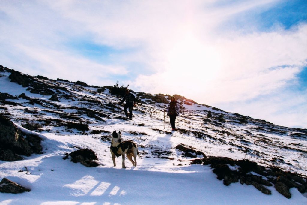 trip through the snowy mountains