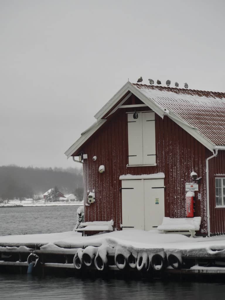 Ikke mange gjester å rapportere fra gjestehavna i Nevlunghavn i dag. Snøstorm for regnet kommer