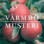 varmdo_musteri_logotyp_400_20171003-1-1-1-1-1-1-1-1-2-1-1-1.jpg