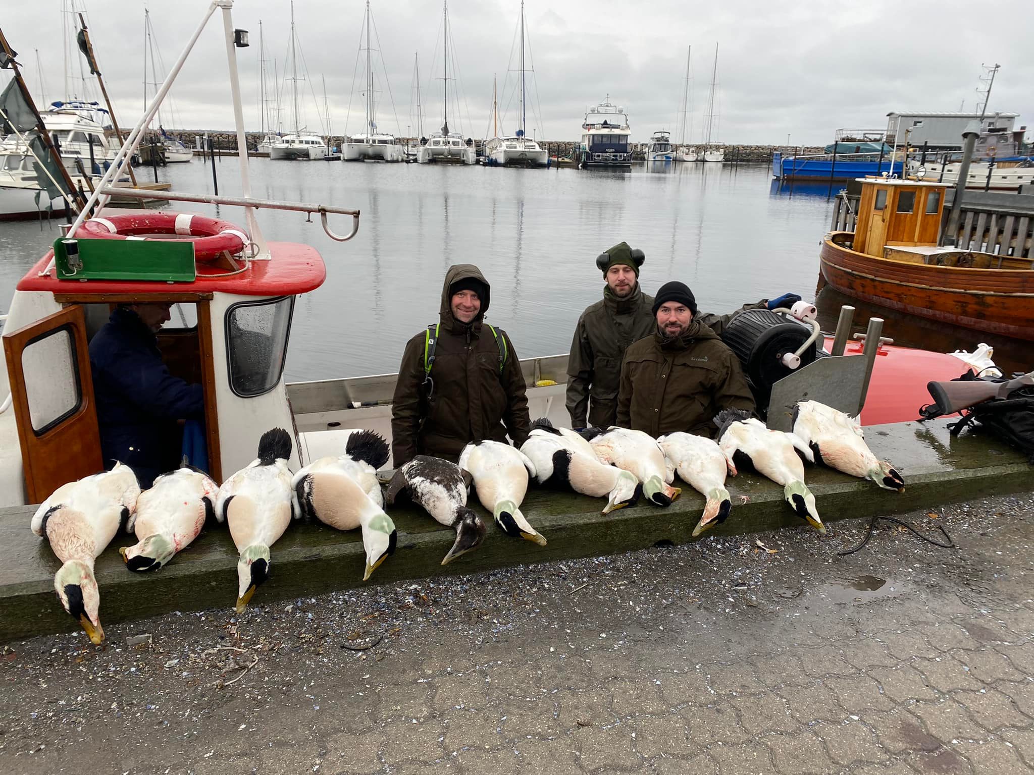 Havjægere med edderfugle