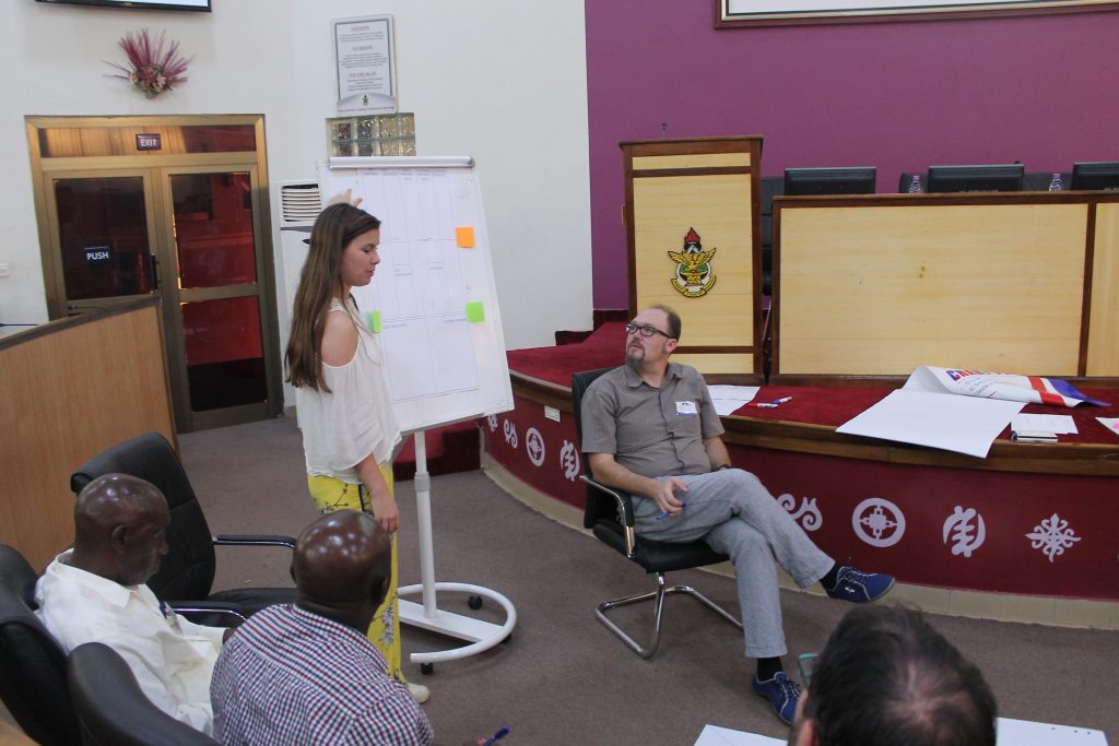 Develop business models for TWIGA services.