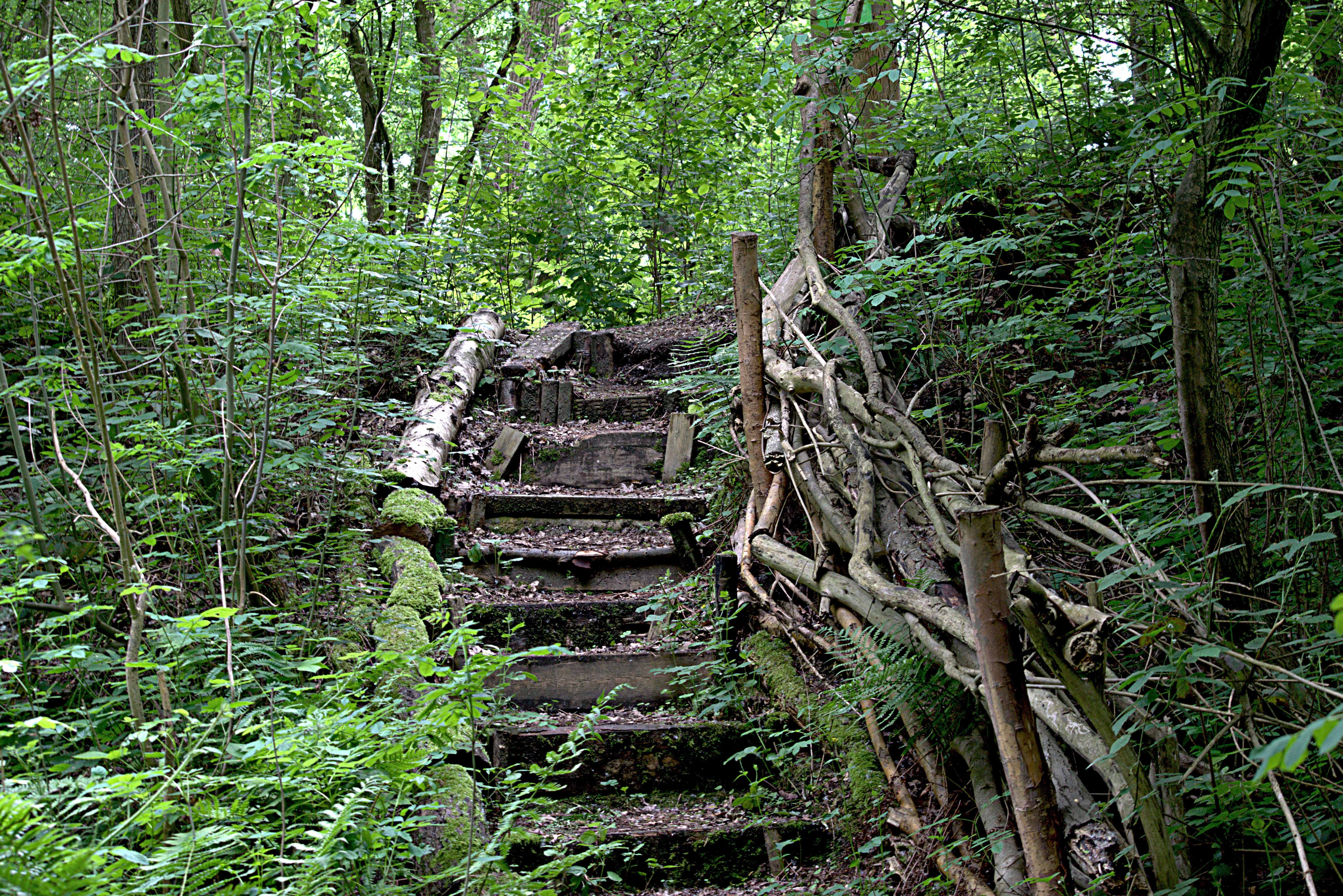 Zomerwandeling op Fort 7 & pinteling