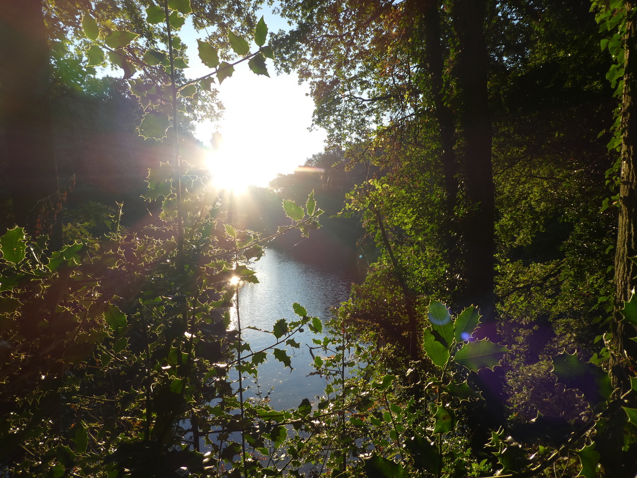 Natuur & kunst in het Middelheim