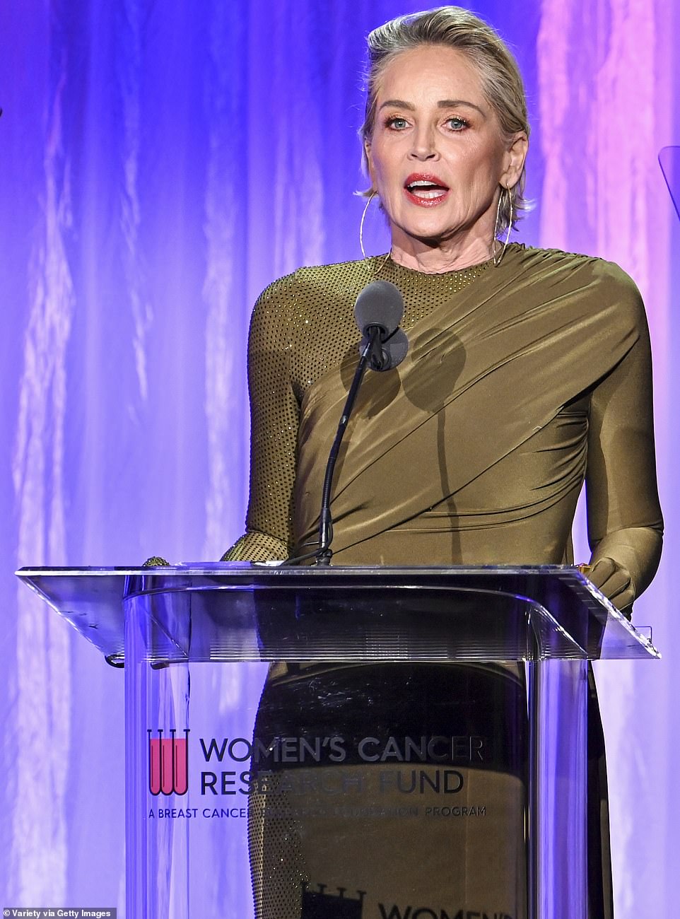 Limelight: Once the festivities got underway Sharon, who last November announced that she needed to have a fibroid tumor removed, took the stage to be given the Courage Award