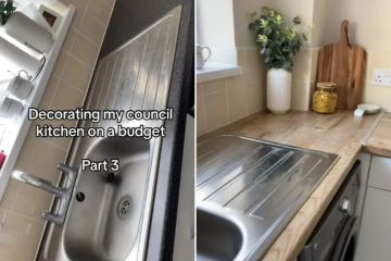 DIY fan transforms her drab council house kitchen with a £14 buy from B&M