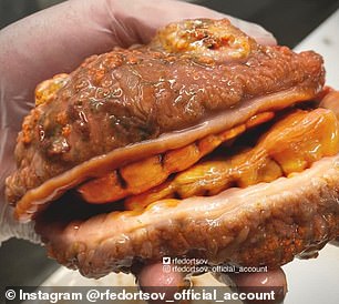 Mr Fedorsov shared this, commenting on its not-so-appetising appearance