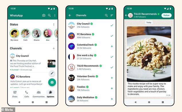 Channels will appear under this Updates tab, next to 'Chats', 'Calls' and 'Communities'. Unlike personal chats, Channels are a 'one-way broadcast tool', so if you get an update, you won't be able to reply to it
