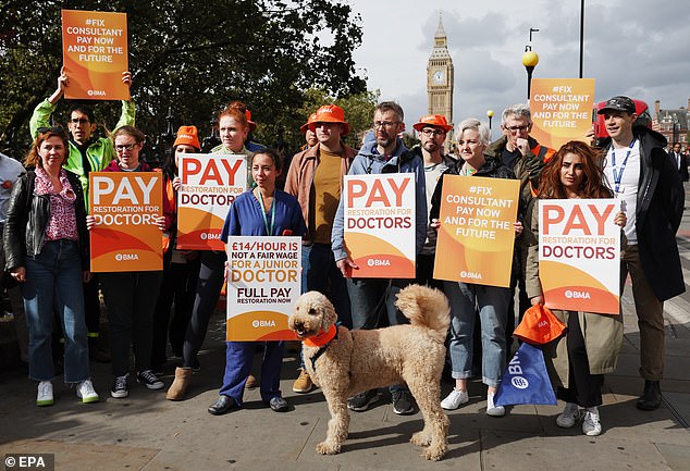 Pictured: NHS consultants and junior doctors carry placards as they strike outside St Thomas' hospital in London on September 20