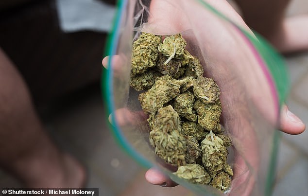 Cannabis contains a chemical called TH which interacts with our bodies 'endocannabinoid system'. This interaction alter our brain chemistry in a way that produces a pleasurable high