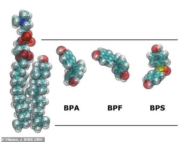 Two of the most widely-used alternatives - bisphenol S (BPS) and bisphenol F (BPF) - actually behave almost identically to the hazardous chemical they were designed to replace