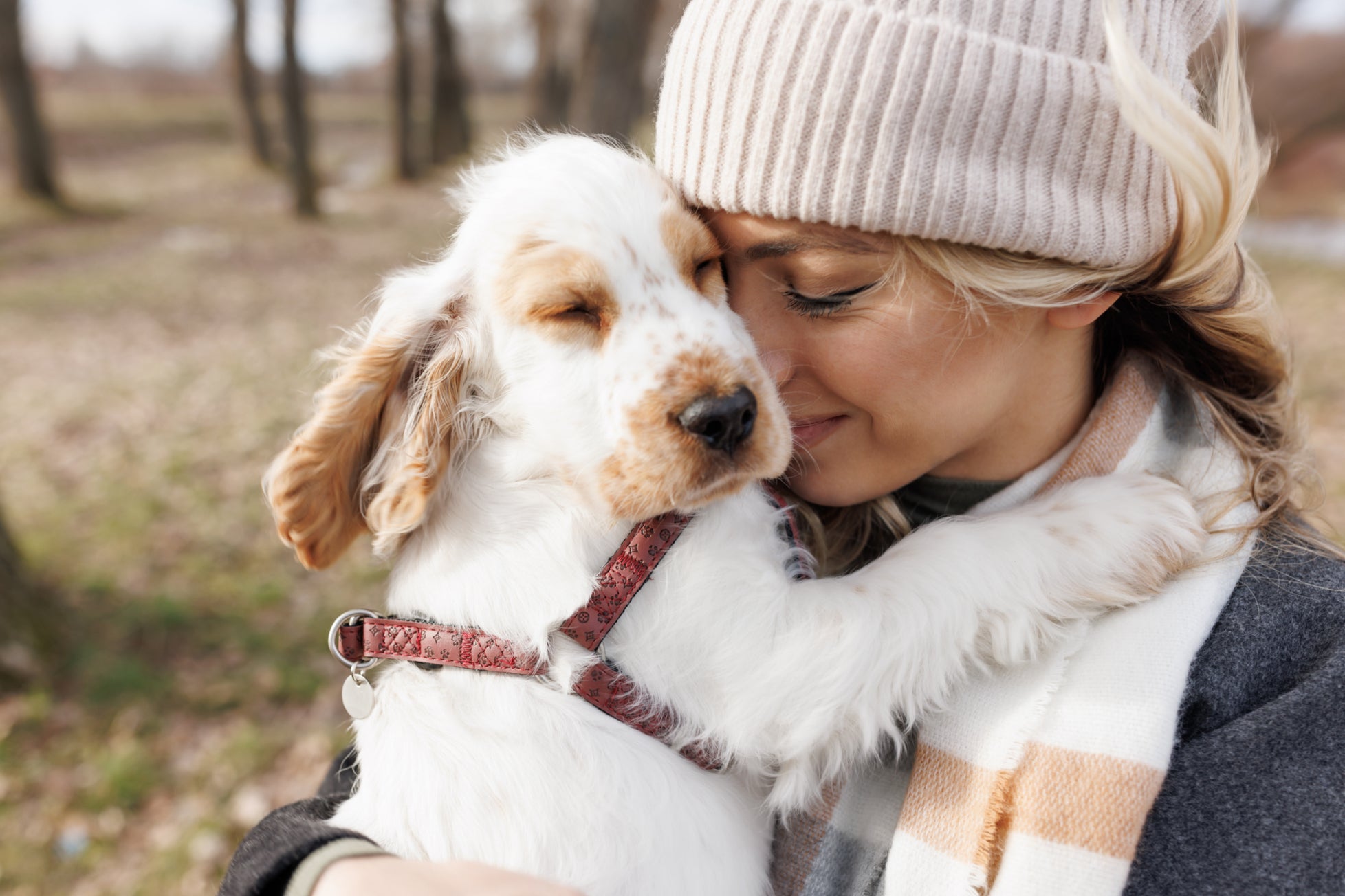 ‘The simple change in terminology, from dog owner to dog parent, gives insight into the rapidly evolving relationship between a dog and a human’