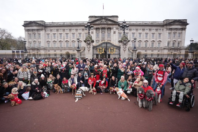 People and dogs take part during the Rescue Dogs of London and Friends Christmas Jumper Parade, outside Buckingham Palace in central London. Picture date: Saturday November 30, 2024. PA Photo. Photo credit should read: James Manning/PA Wire