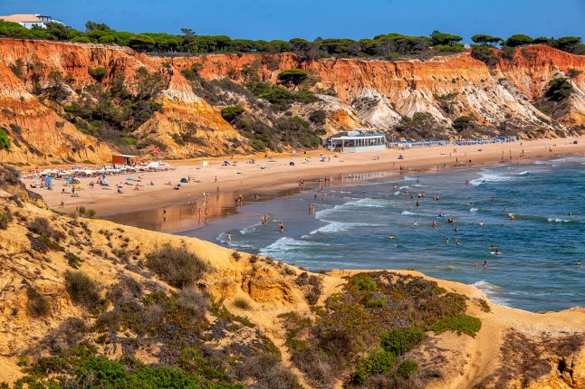 Falesia beach cliff