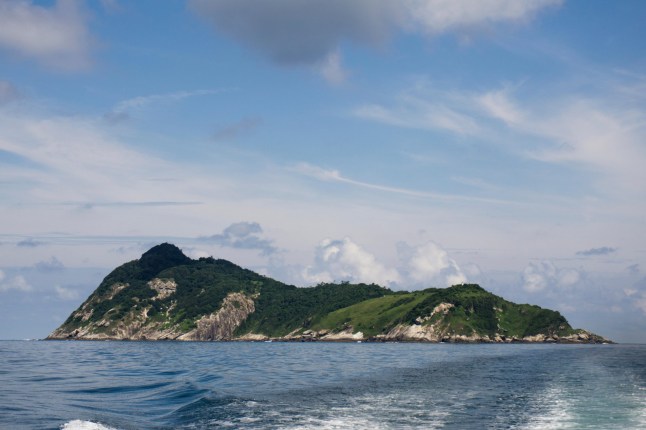 G5N7W0 Queimada Grande island known as snake island home of poisonous snake Jararaca Ilhoa Bothrops insularis shore of Brazil.