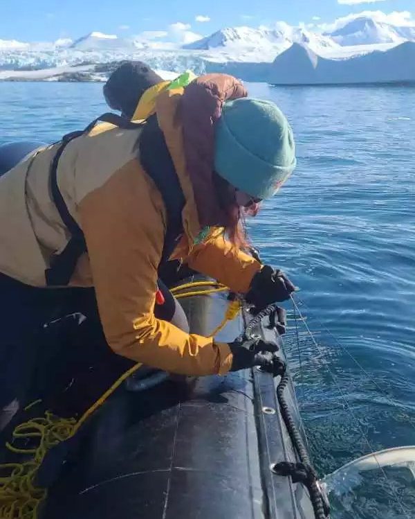 Dr Cait McCarry, from the Department of Physics, has recently returned from an expedition to Antarctica where she was collecting live krill.