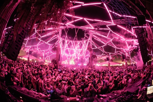 Polygon Live