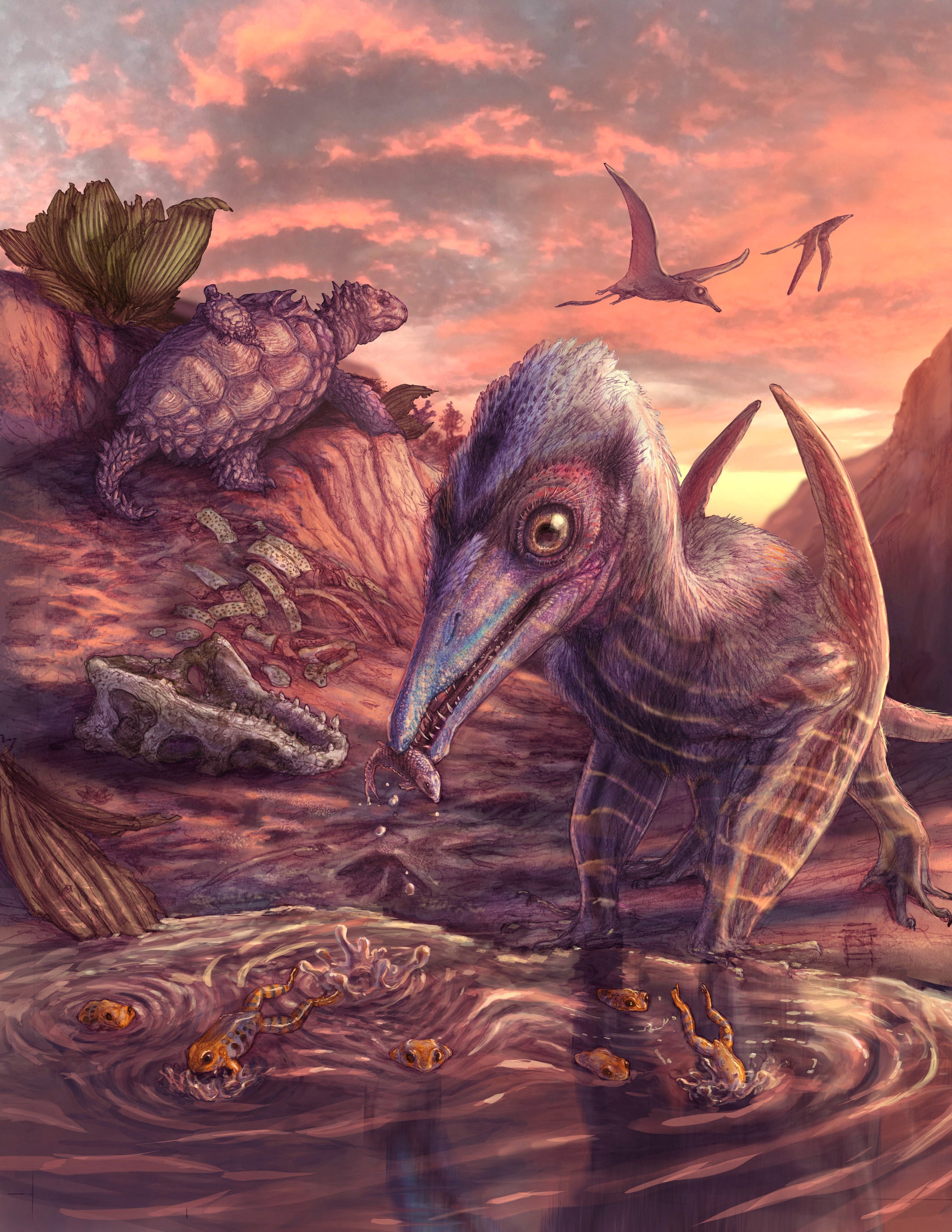 The newly-found fossils are 209 years old