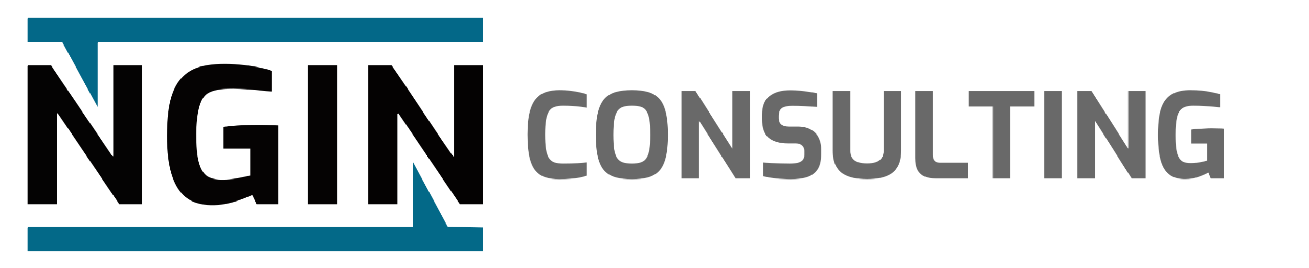 NGIN Consulting logo