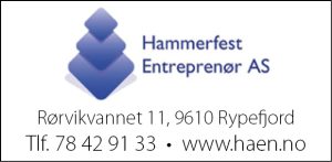 Annonse Hamemrfest Entreprenør AS