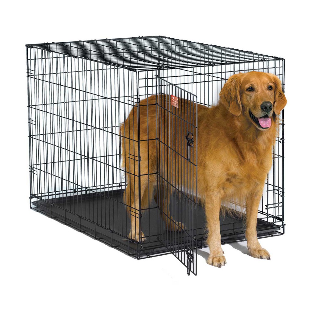 The Best Way to CrateTrain Your Pet