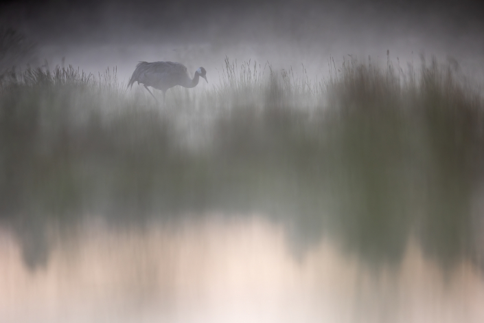 Trana, Gotland