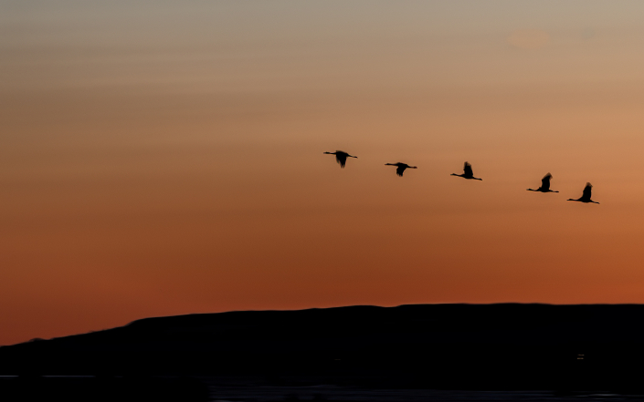 Trana, Horborgarsjön