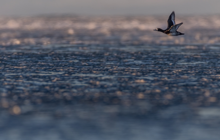 Bergand, gotland