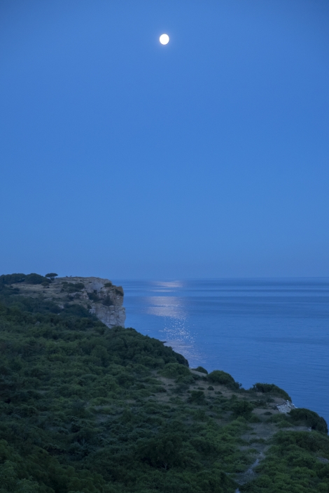 stora karlsö