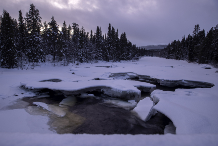 Fjätervålen