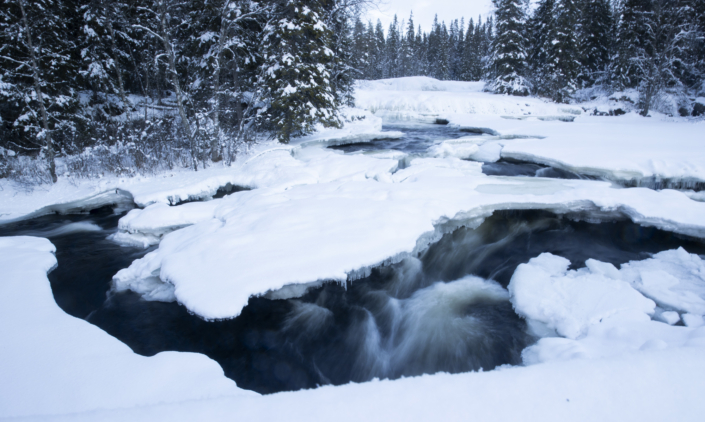 Fjätervålen