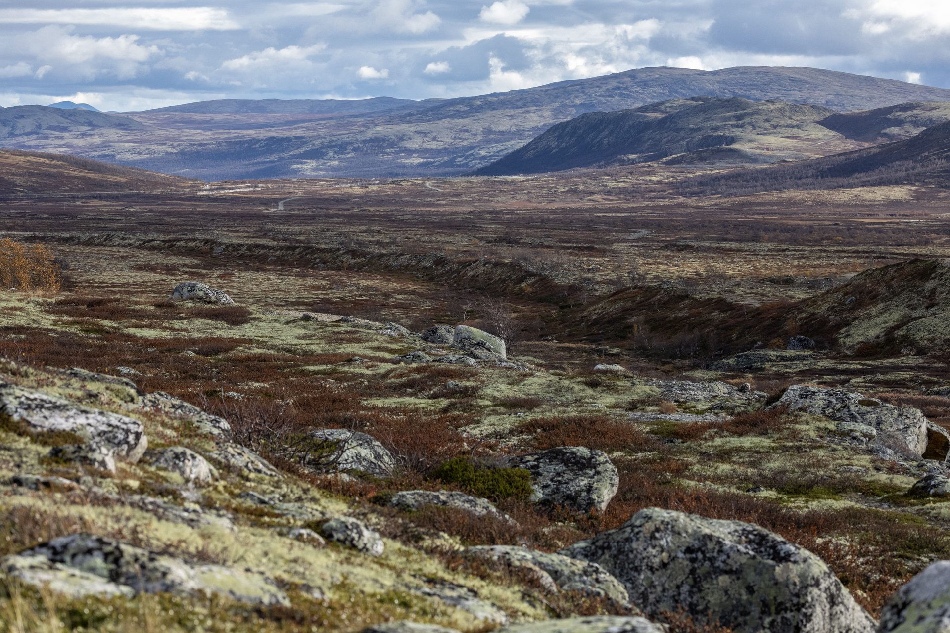 Dovre