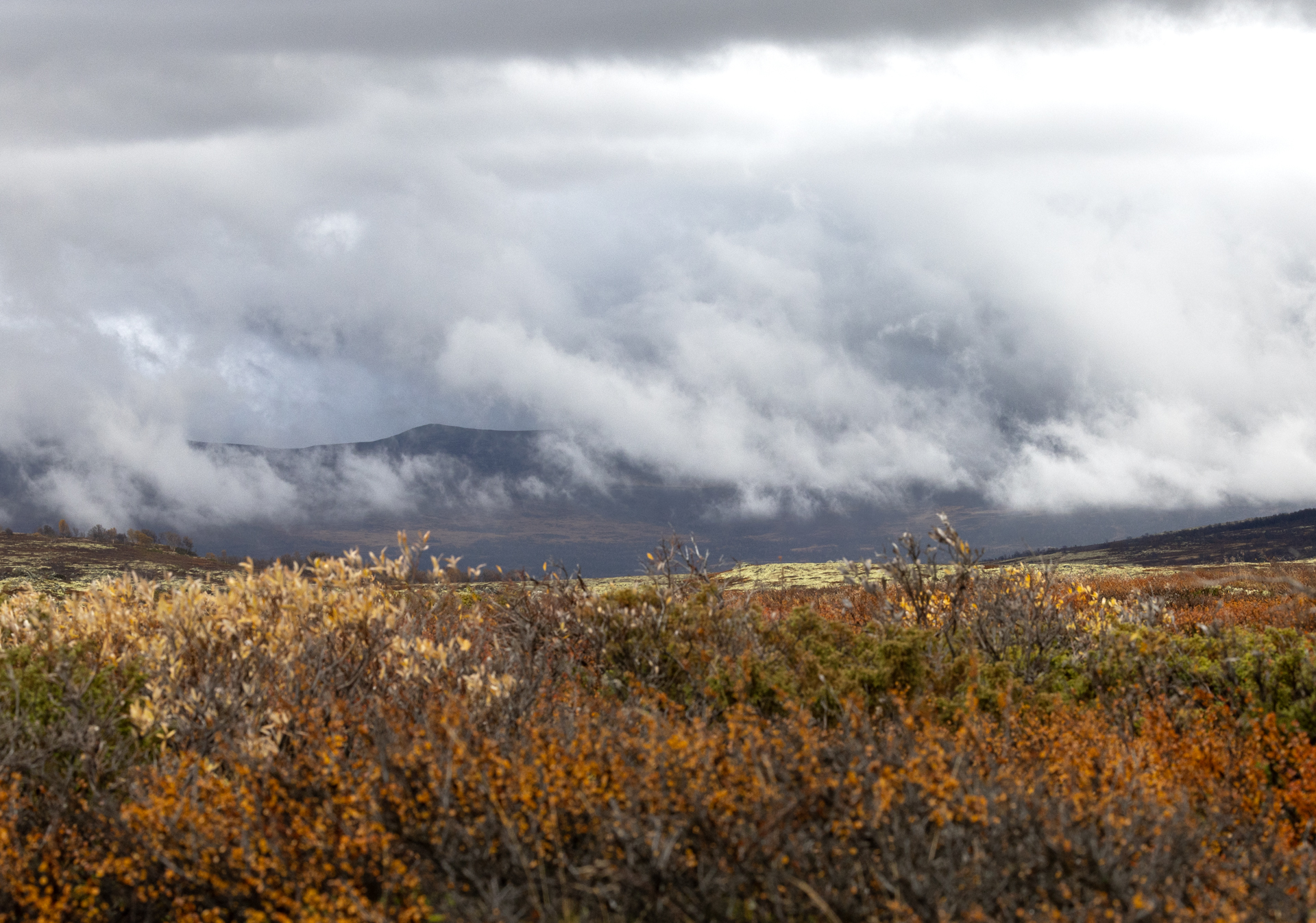 Dovre