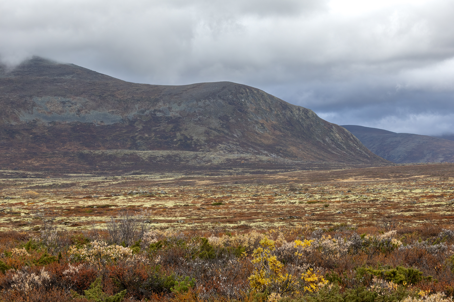 Dovre