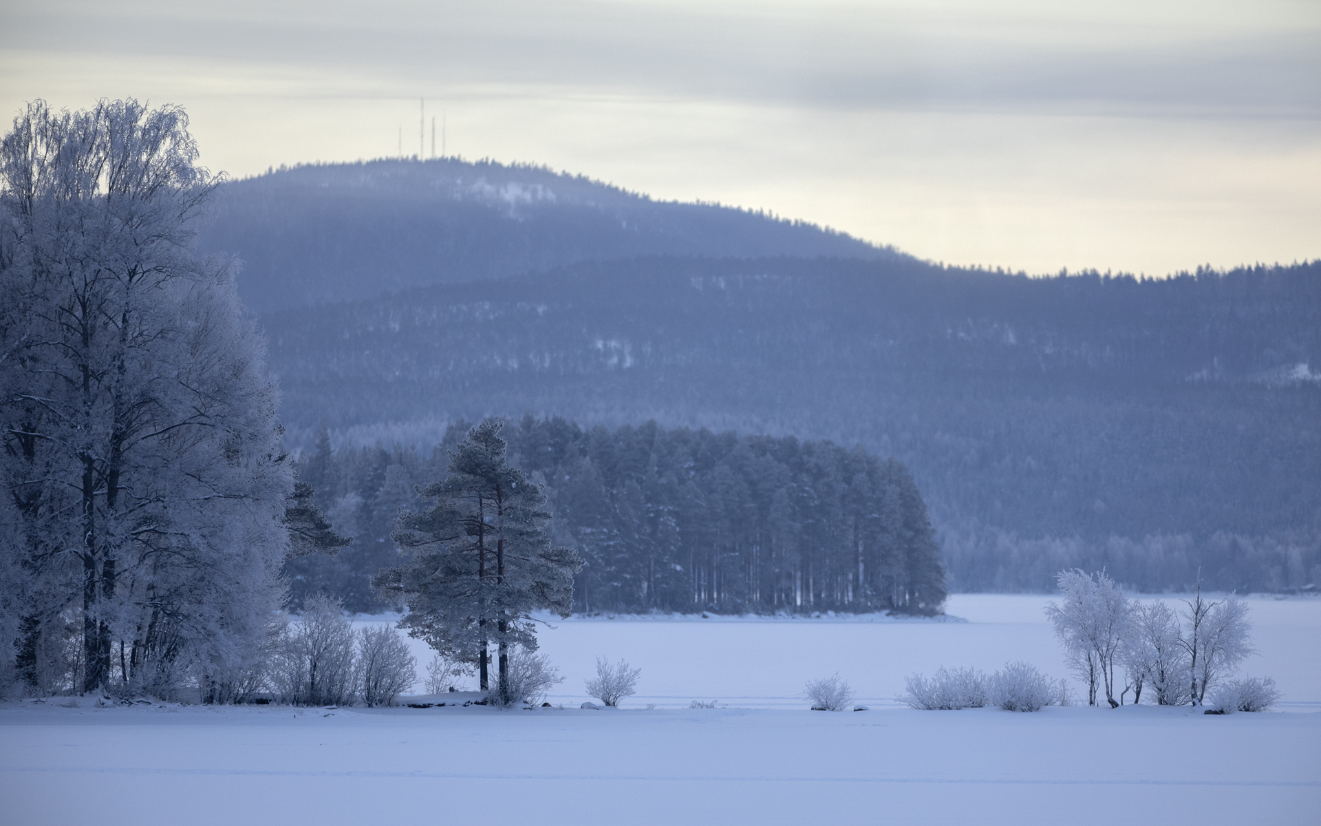 Hälsingland