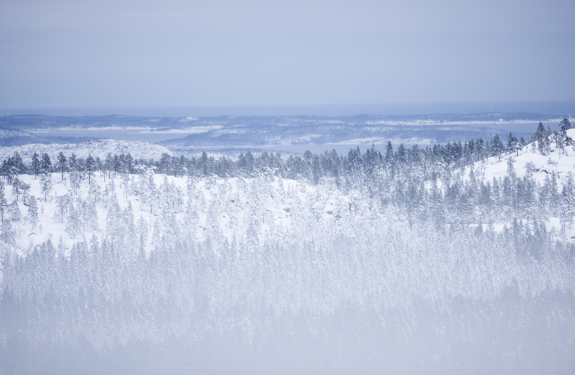 Skuleskogen