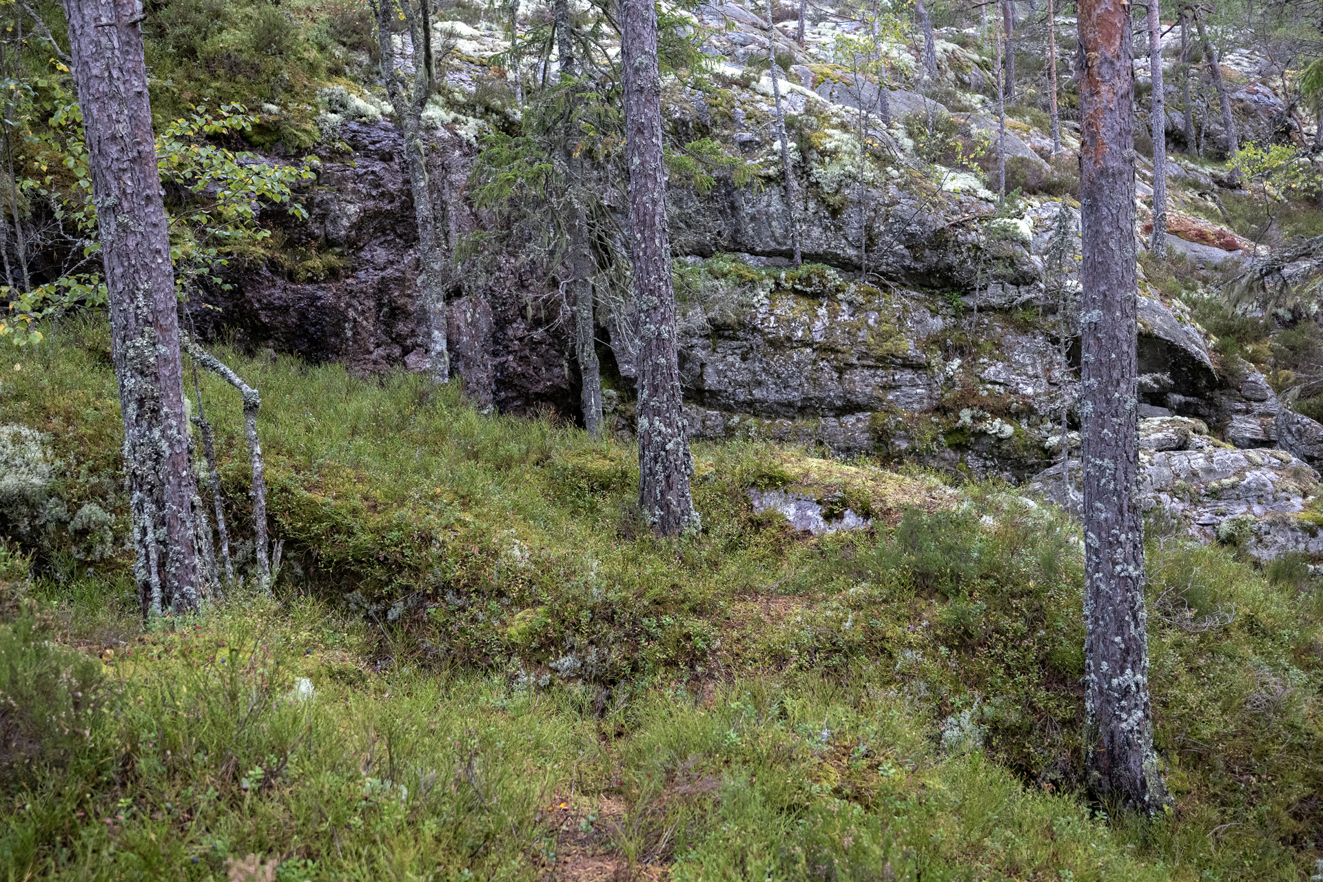 Sörknatten