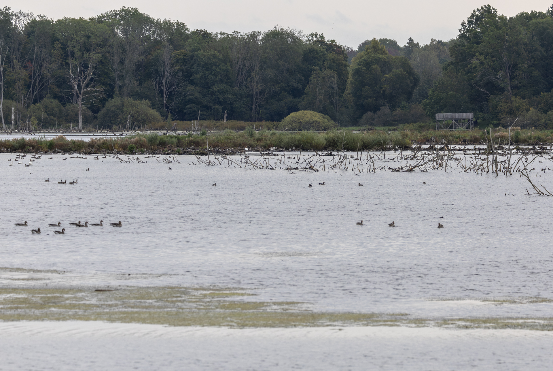 Tinnerö