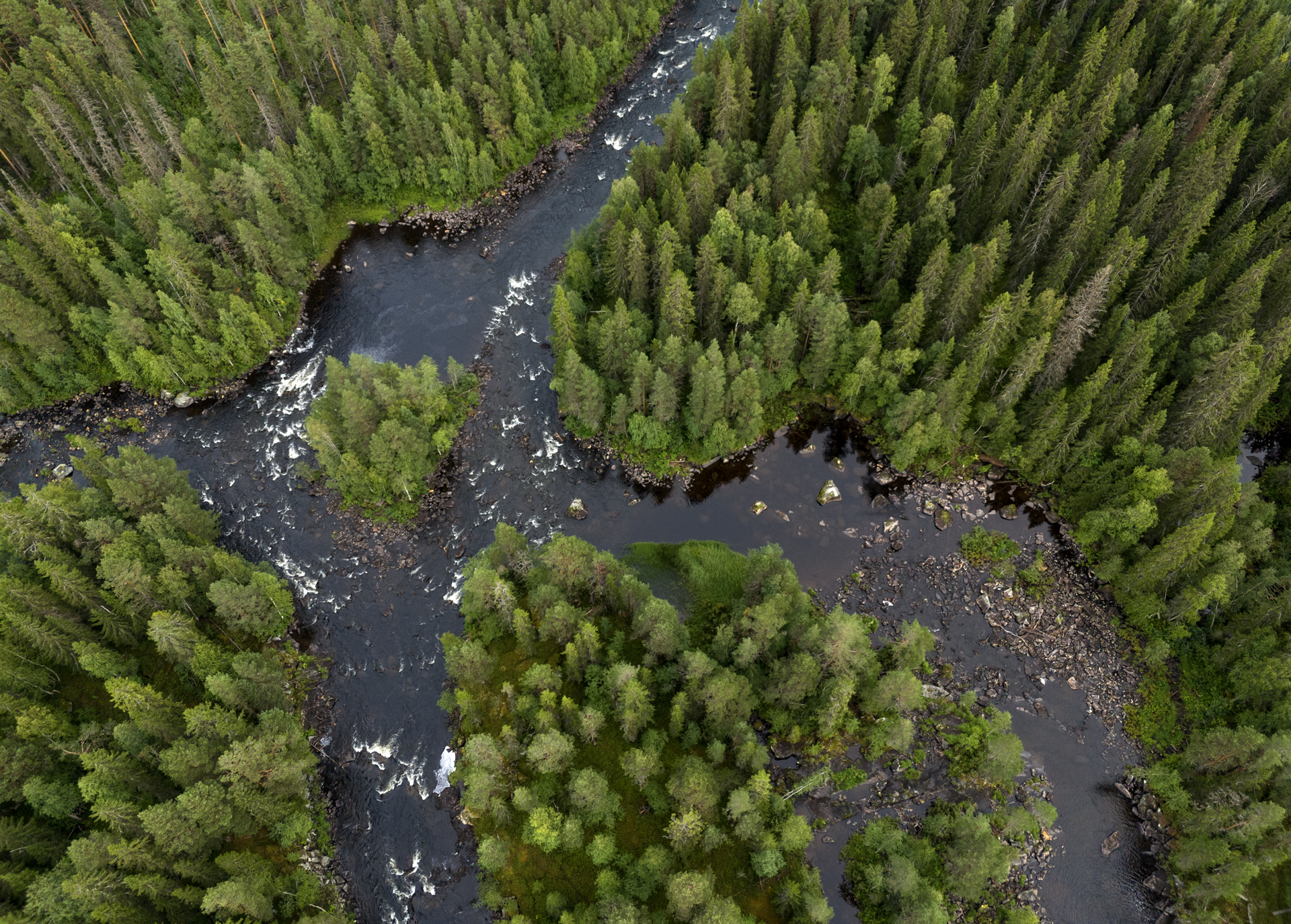 Mårdseleforsen