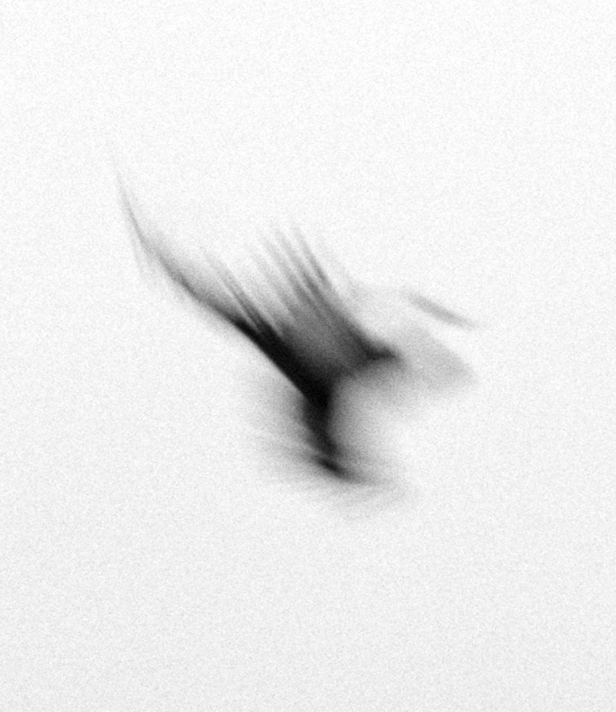 Dying Birds – Nicolai Howalt