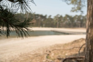 Nicole Rijkers Fotografie familie bruitloft portret henschotermeer (12)