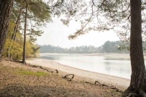 Nicole Rijkers Fotografie familie bruitloft portret henschotermeer (13)